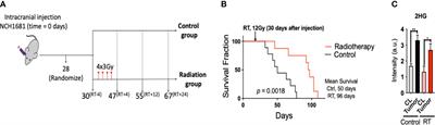 Metabolic biomarkers of radiotherapy response in plasma and tissue of an IDH1 mutant astrocytoma mouse model